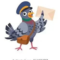 Pigeon Mail